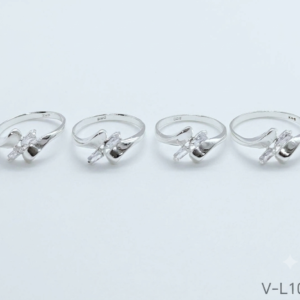 Anillo Raíz