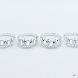 Anillo Tortugas